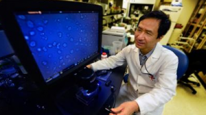 Tohru Ikuta studies sickle cell disease
