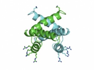 This region of the NS1 viral protein binds the host protein DDX21, making it a potential target for new antivirals against the influenza virus