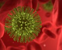 flu virus rendering