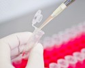 researcher conducting lab test