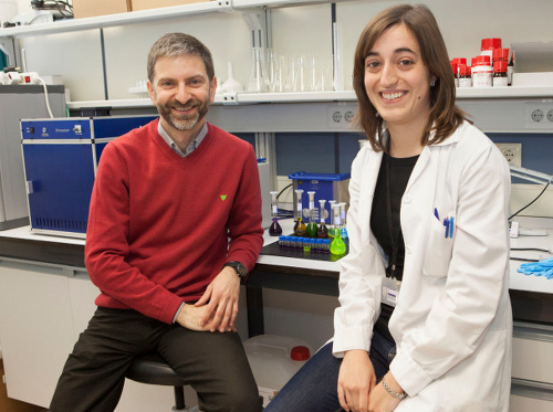 Francisco Galindo and Alicia Beltrán Beltrán – researchers with the study. Photo courtesy of Àlex Pérez