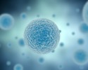 cells-3d-500